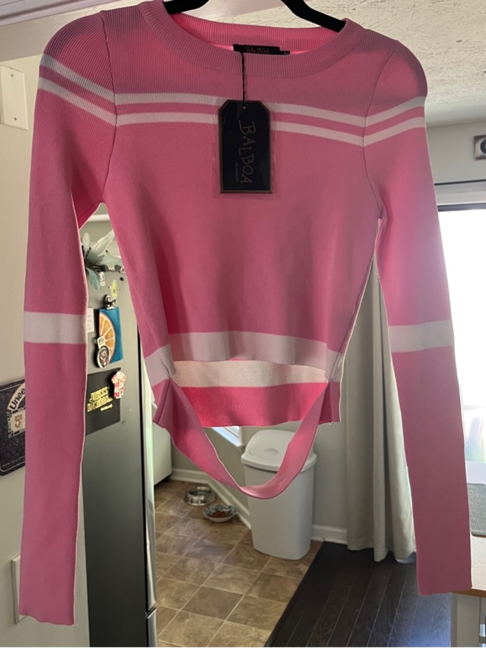 Balboa Pink Striped Long-Sleeve Crop Top